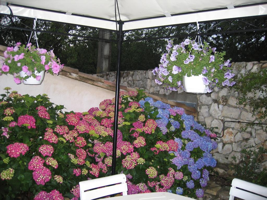 La Frandomiere Bed & Breakfast Saint-Martin-de-Londres Dış mekan fotoğraf